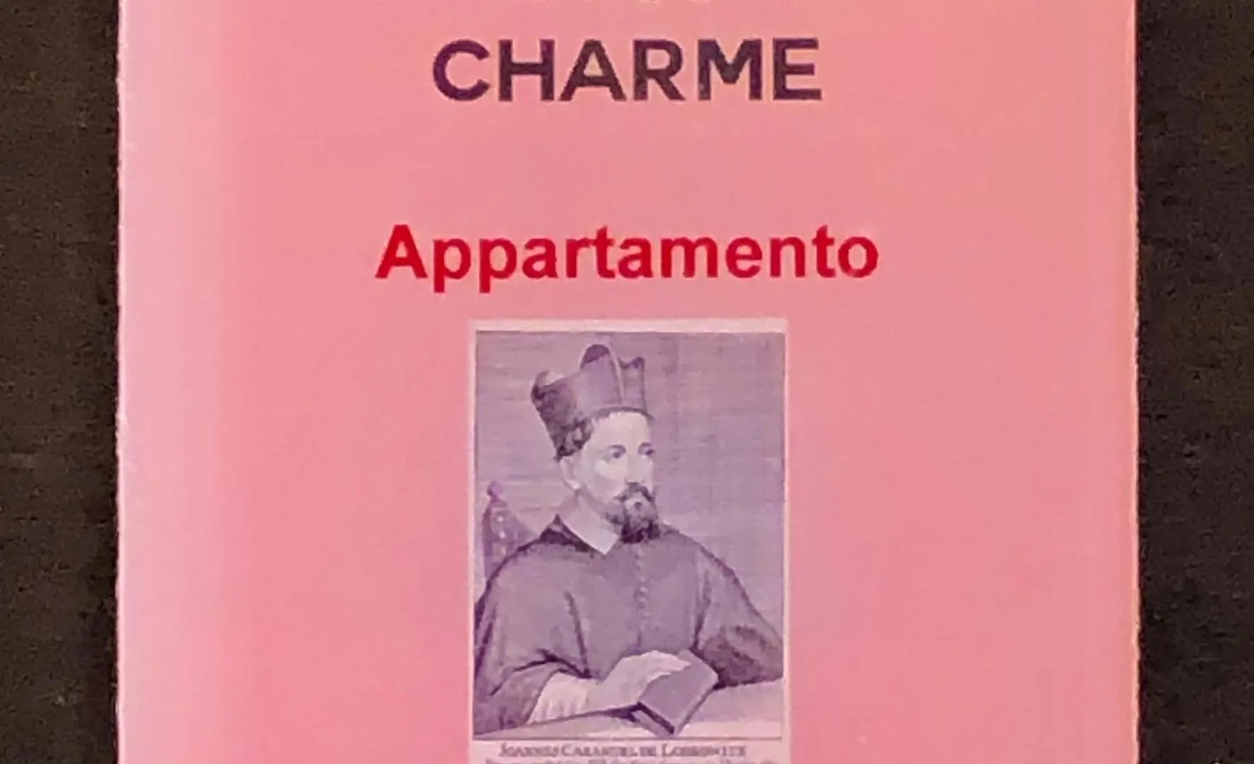 N°30 Charme Apartments Vigevano
